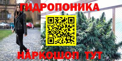 стафф Нарткала