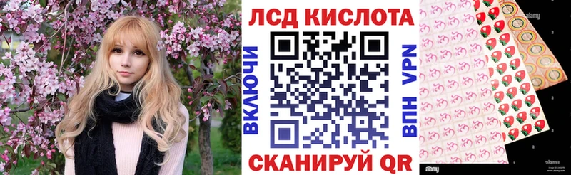 где найти наркотики Богданович Марки 25I-NBOMe 1500мкг