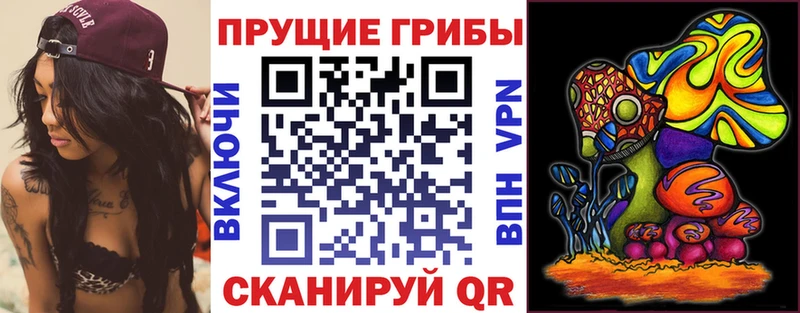 кракен   Богданович  Псилоцибиновые грибы MAGIC MUSHROOMS 