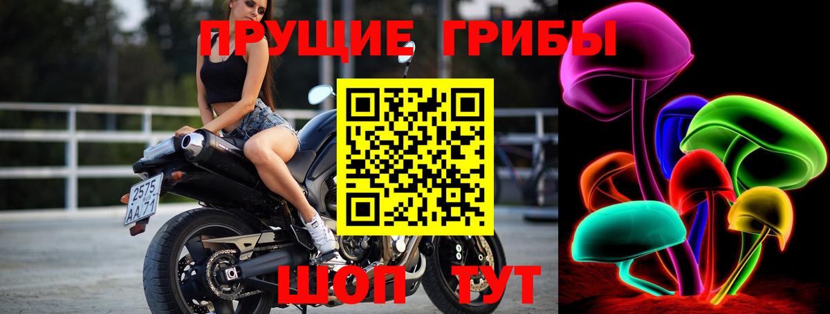 Галлюциногенные грибы Psilocybe Богданович